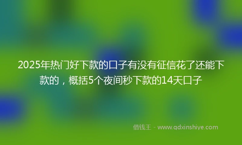 2025年热门好下款的口子有没有征信花了还能下款的，概括5个夜间秒下款的14天口子