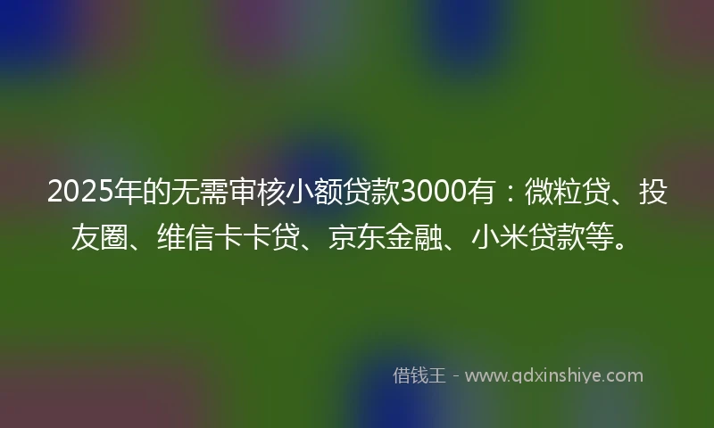 2025年的无需审核小额贷款3000有：微粒贷、投友圈、维信卡卡贷、京东金融、小米贷款等。