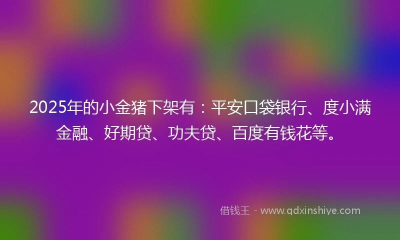 2025年的小金猪下架有：平安口袋银行、度小满金融、好期贷、功夫贷、百度有钱花等。