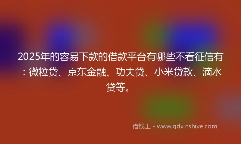 2025年的容易下款的借款平台有哪些不看征信有：微粒贷、京东金融、功夫贷、小米贷款、滴水贷等。