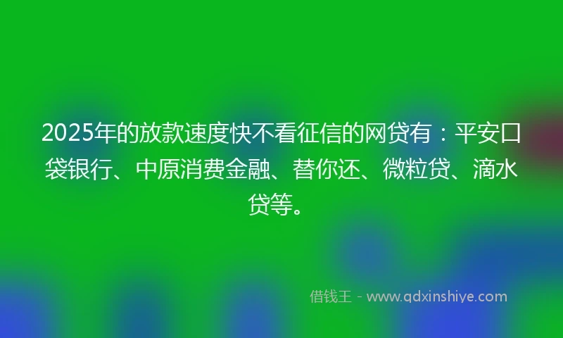 2025年的放款速度快不看征信的网贷有：平安口袋银行、中原消费金融、替你还、微粒贷、滴水贷等。