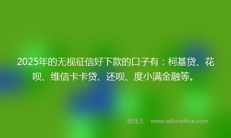 2025年的无视征信好下款的口子有：柯基贷、花呗、维信卡卡贷、还呗、度小满金融等。