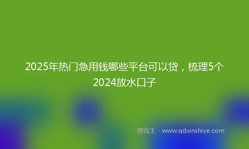 2025年热门急用钱哪些平台可以贷，梳理5个2024放水口子