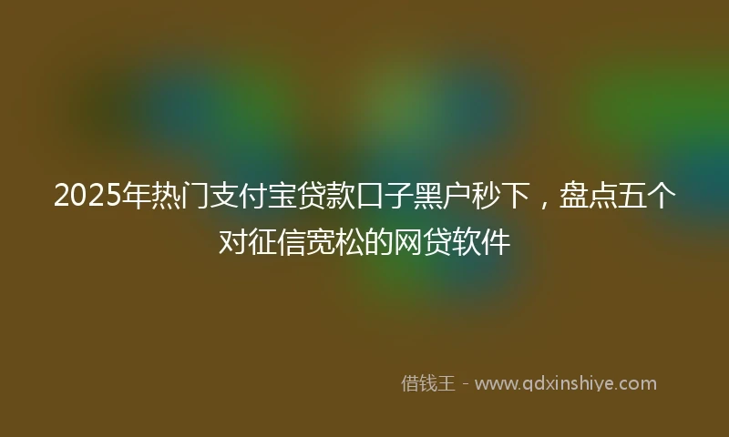 2025年热门支付宝贷款口子黑户秒下，盘点五个对征信宽松的网贷软件