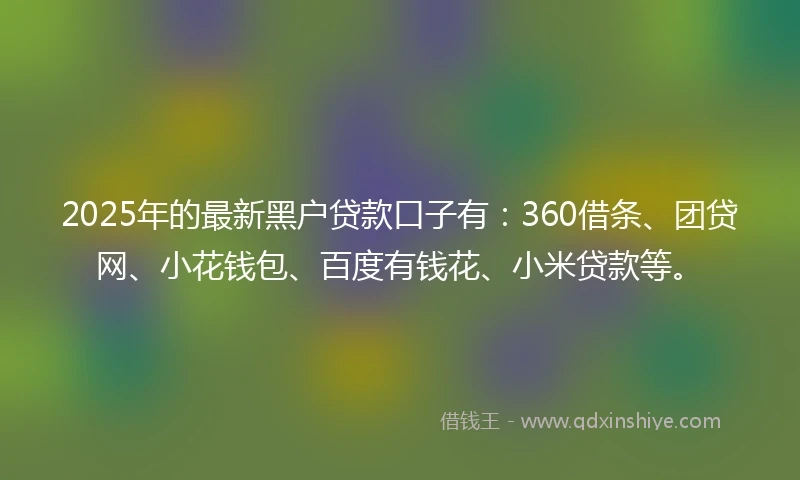 2025年的最新黑户贷款口子有：360借条、团贷网、小花钱包、百度有钱花、小米贷款等。