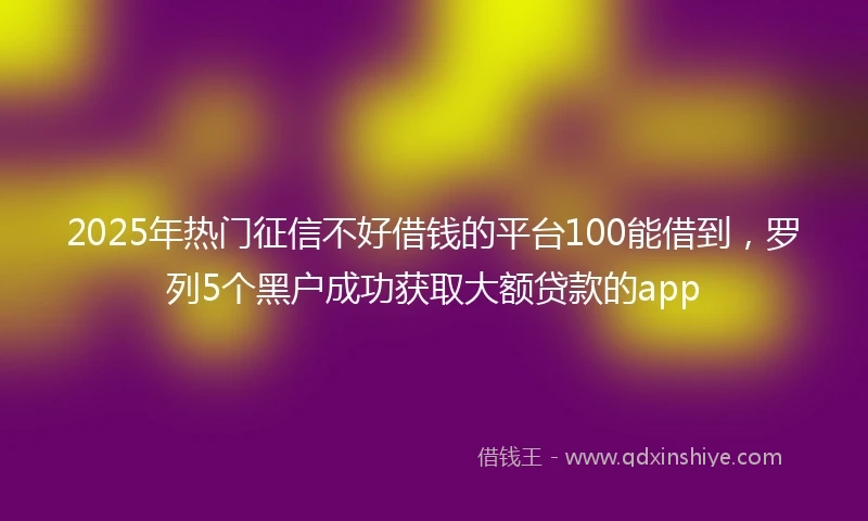 2025年热门征信不好借钱的平台100能借到，罗列5个黑户成功获取大额贷款的app