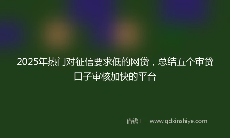 2025年热门对征信要求低的网贷，总结五个审贷口子审核加快的平台