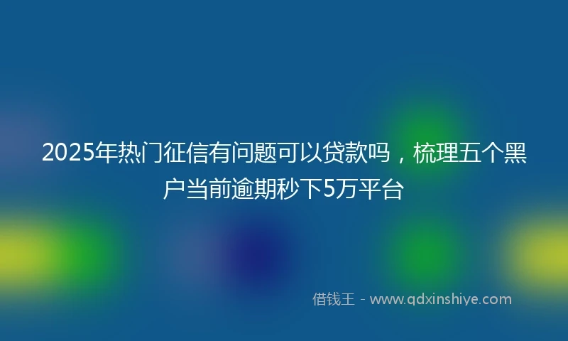 2025年热门征信有问题可以贷款吗，梳理五个黑户当前逾期秒下5万平台