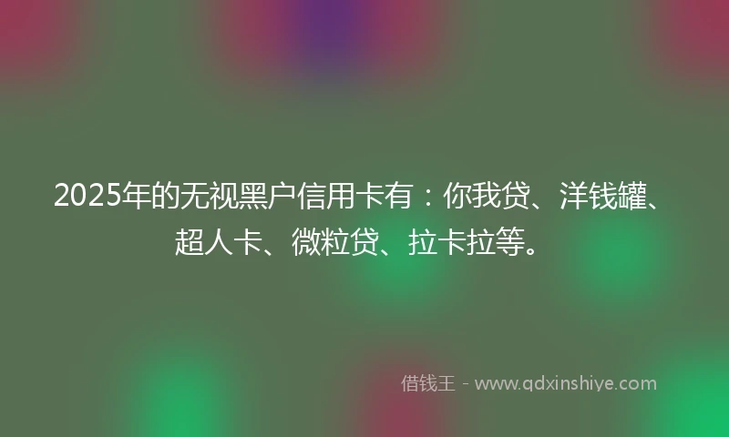 2025年的无视黑户信用卡有：你我贷、洋钱罐、超人卡、微粒贷、拉卡拉等。