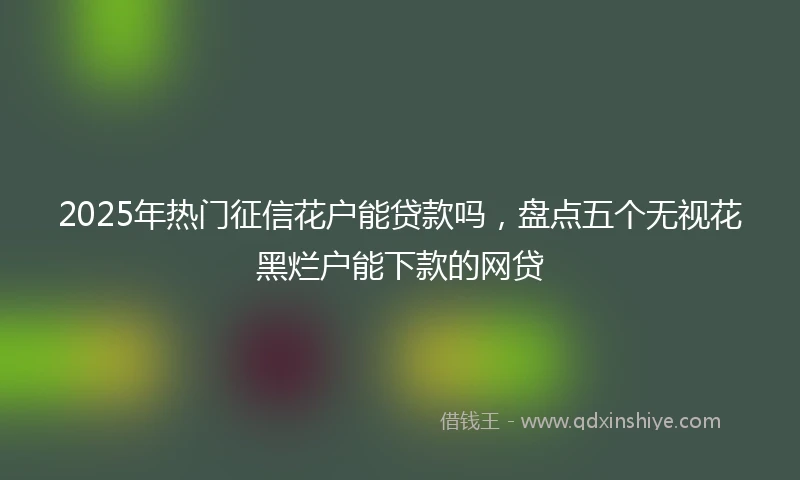 2025年热门征信花户能贷款吗，盘点五个无视花黑烂户能下款的网贷
