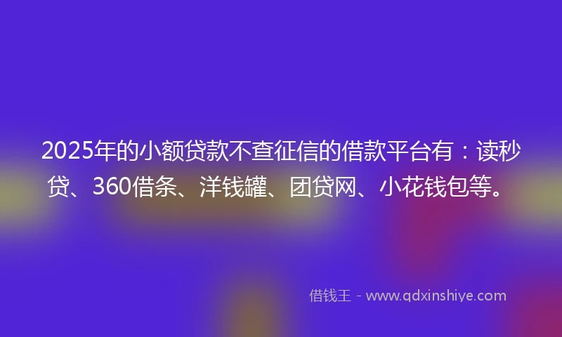2025年的小额贷款不查征信的借款平台有：读秒贷、360借条、洋钱罐、团贷网、小花钱包等。