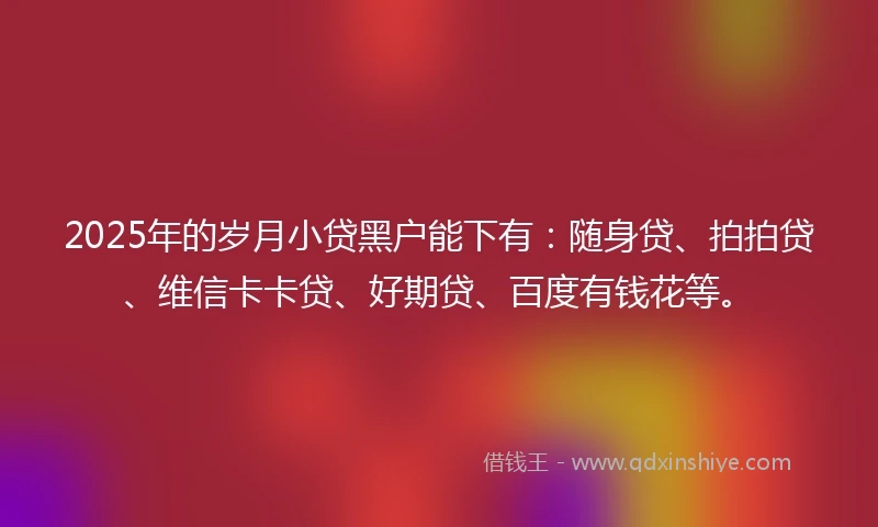 2025年的岁月小贷黑户能下有：随身贷、拍拍贷、维信卡卡贷、好期贷、百度有钱花等。