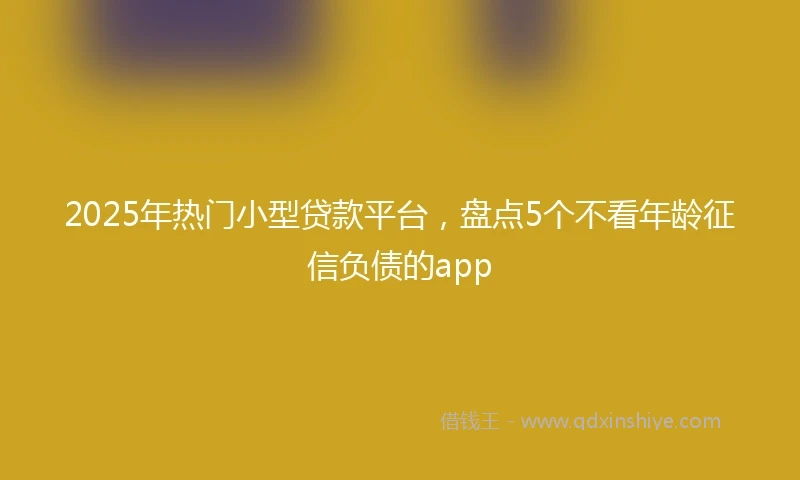 2025年热门小型贷款平台，盘点5个不看年龄征信负债的app