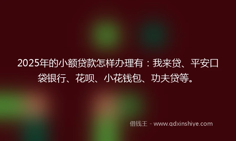 2025年的小额贷款怎样办理有：我来贷、平安口袋银行、花呗、小花钱包、功夫贷等。
