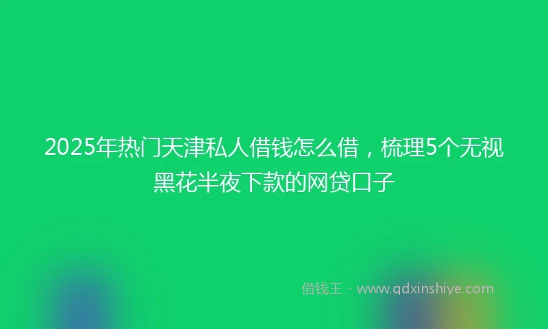 2025年热门天津私人借钱怎么借，梳理5个无视黑花半夜下款的网贷口子