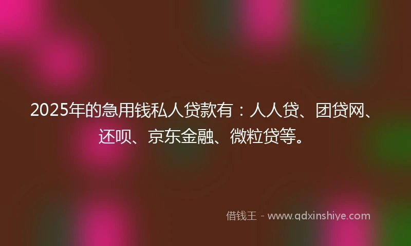 2025年的急用钱私人贷款有：人人贷、团贷网、还呗、京东金融、微粒贷等。
