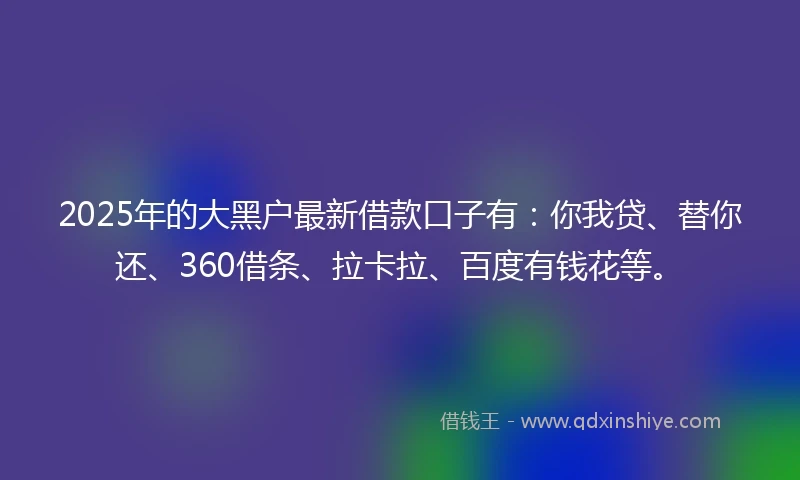 2025年的大黑户最新借款口子有：你我贷、替你还、360借条、拉卡拉、百度有钱花等。