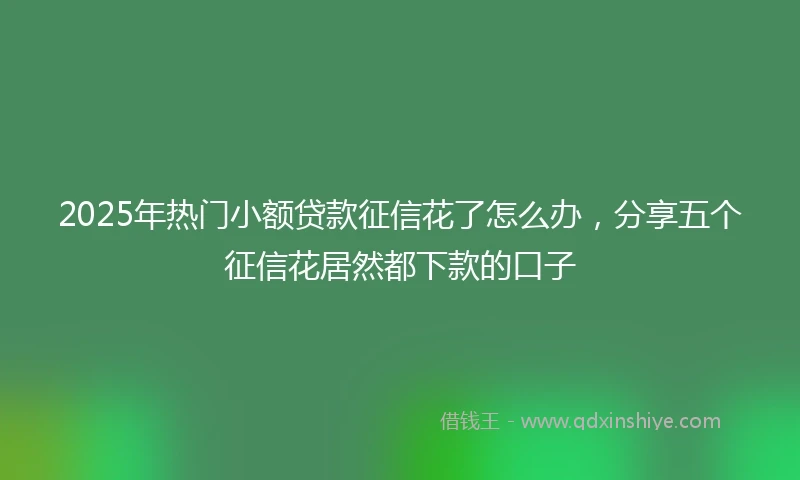 2025年热门小额贷款征信花了怎么办，分享五个征信花居然都下款的口子