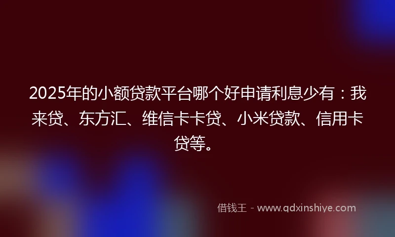 2025年的小额贷款平台哪个好申请利息少有：我来贷、东方汇、维信卡卡贷、小米贷款、信用卡贷等。