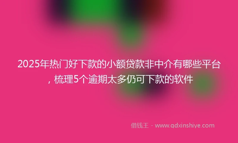 2025年热门好下款的小额贷款非中介有哪些平台，梳理5个逾期太多仍可下款的软件