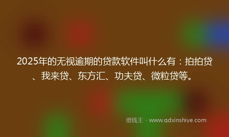2025年的无视逾期的贷款软件叫什么有：拍拍贷、我来贷、东方汇、功夫贷、微粒贷等。