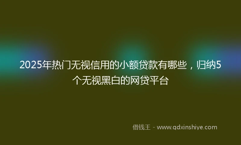 2025年热门无视信用的小额贷款有哪些，归纳5个无视黑白的网贷平台
