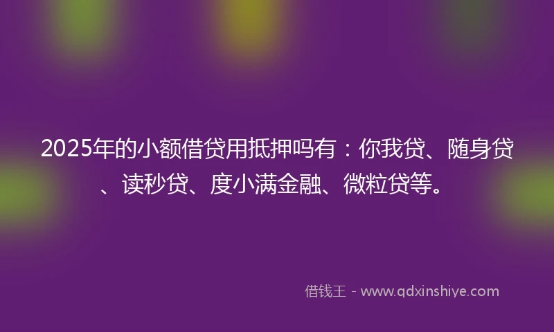 2025年的小额借贷用抵押吗有：你我贷、随身贷、读秒贷、度小满金融、微粒贷等。
