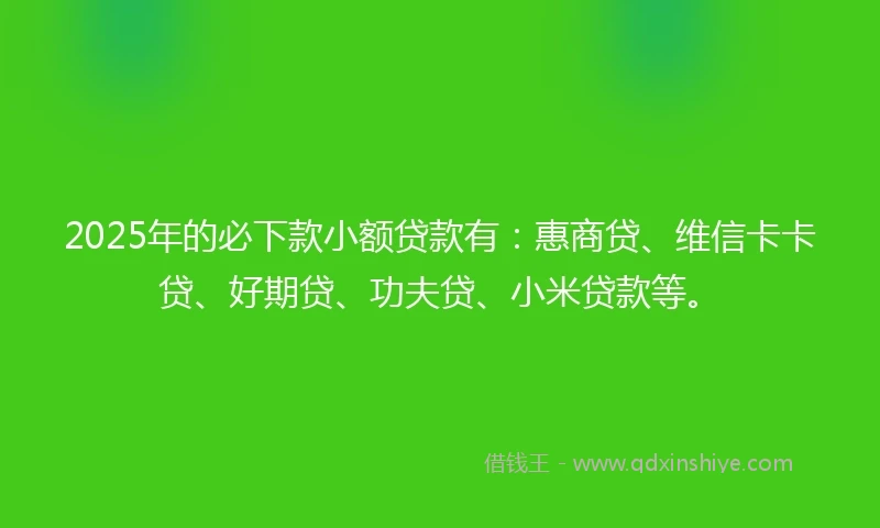 2025年的必下款小额贷款有：惠商贷、维信卡卡贷、好期贷、功夫贷、小米贷款等。