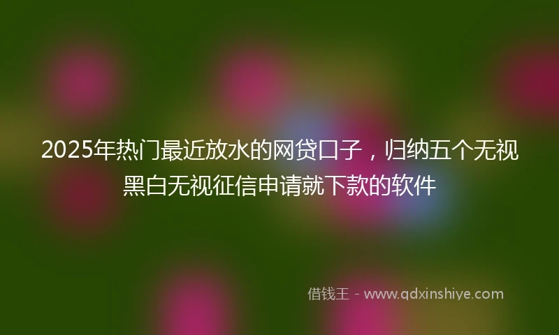 2025年热门最近放水的网贷口子，归纳五个无视黑白无视征信申请就下款的软件