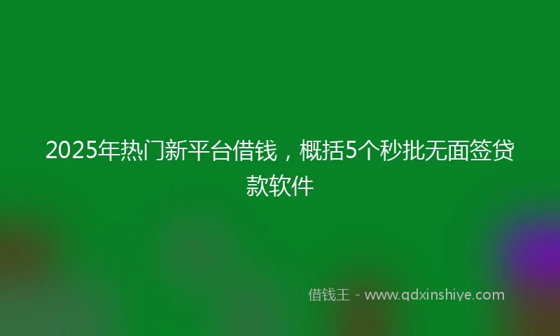 2025年热门新平台借钱，概括5个秒批无面签贷款软件
