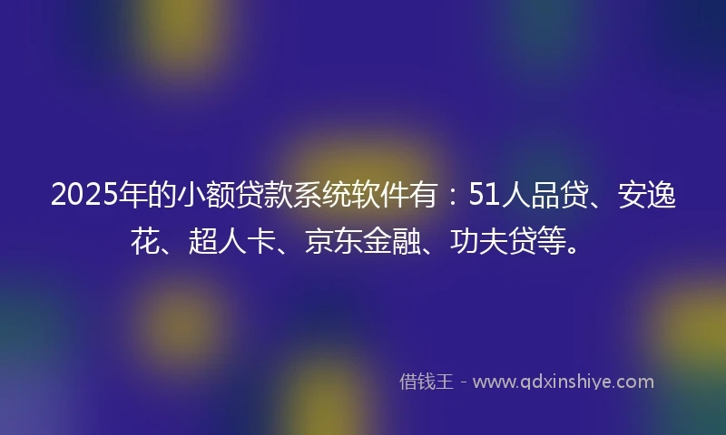 2025年的小额贷款系统软件有：51人品贷、安逸花、超人卡、京东金融、功夫贷等。