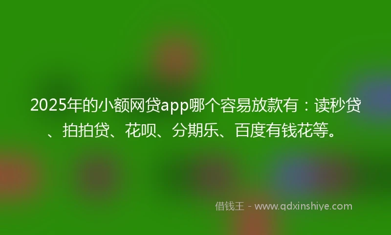 2025年的小额网贷app哪个容易放款有：读秒贷、拍拍贷、花呗、分期乐、百度有钱花等。