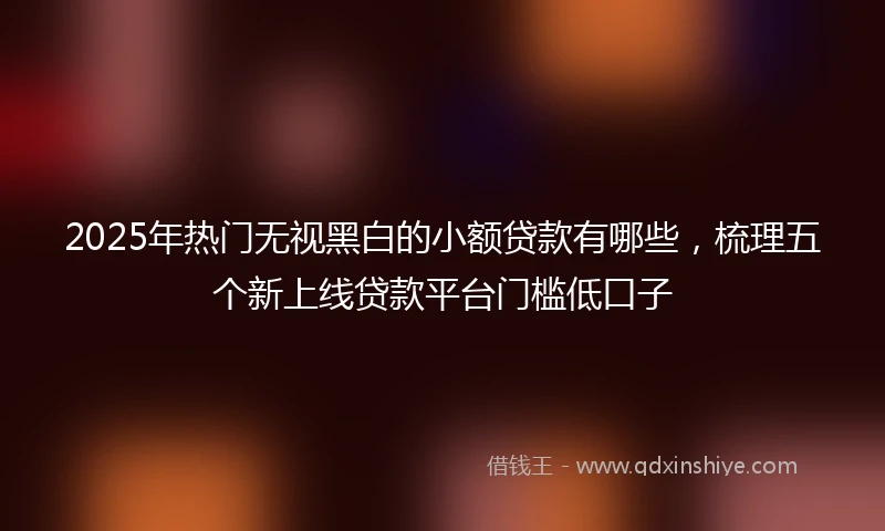 2025年热门无视黑白的小额贷款有哪些，梳理五个新上线贷款平台门槛低口子