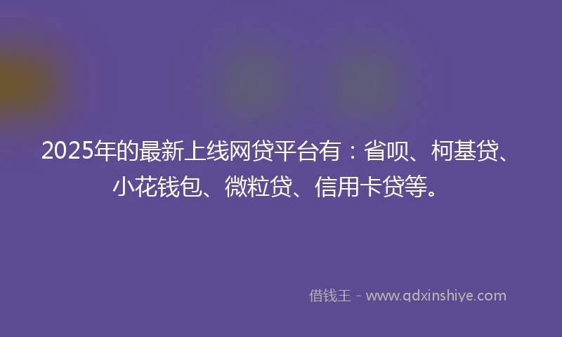 2025年的最新上线网贷平台有：省呗、柯基贷、小花钱包、微粒贷、信用卡贷等。