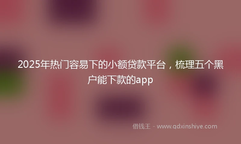 2025年热门容易下的小额贷款平台，梳理五个黑户能下款的app