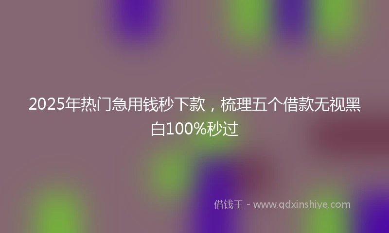 2025年热门急用钱秒下款，梳理五个借款无视黑白100%秒过