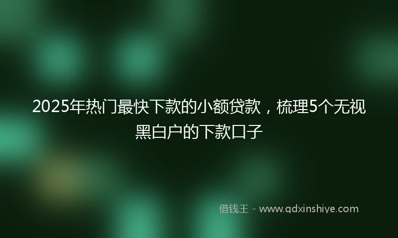 2025年热门最快下款的小额贷款，梳理5个无视黑白户的下款口子