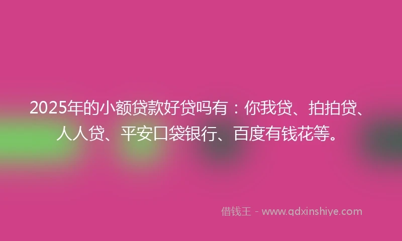 2025年的小额贷款好贷吗有：你我贷、拍拍贷、人人贷、平安口袋银行、百度有钱花等。
