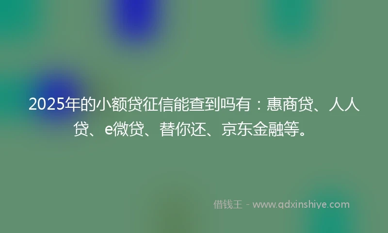 2025年的小额贷征信能查到吗有：惠商贷、人人贷、e微贷、替你还、京东金融等。