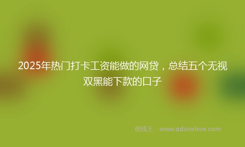 2025年热门打卡工资能做的网贷，总结五个无视双黑能下款的口子