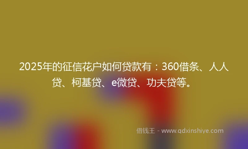 2025年的征信花户如何贷款有：360借条、人人贷、柯基贷、e微贷、功夫贷等。
