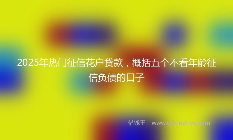 2025年热门征信花户贷款，概括五个不看年龄征信负债的口子