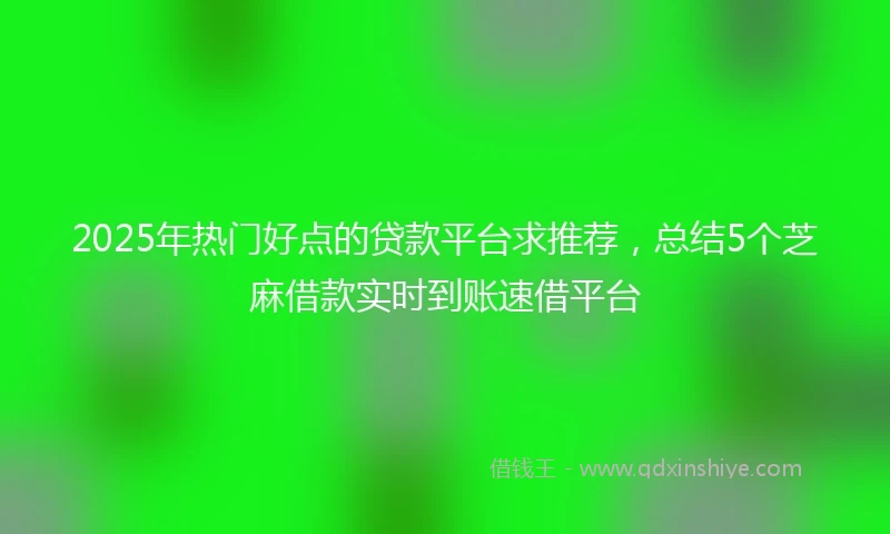 2025年热门好点的贷款平台求推荐，总结5个芝麻借款实时到账速借平台