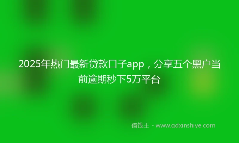 2025年热门最新贷款口子app，分享五个黑户当前逾期秒下5万平台