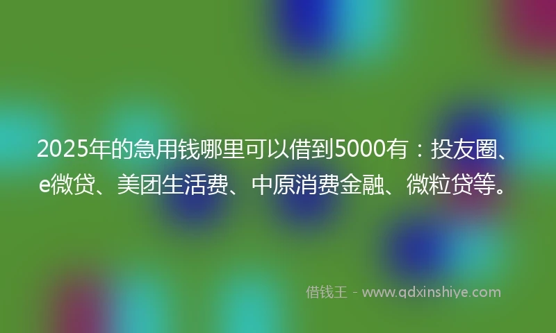 2025年的急用钱哪里可以借到5000有：投友圈、e微贷、美团生活费、中原消费金融、微粒贷等。