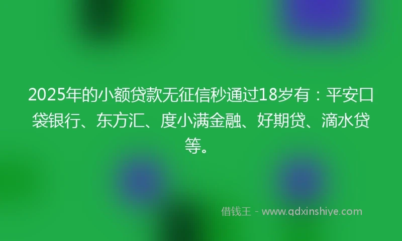 2025年的小额贷款无征信秒通过18岁有：平安口袋银行、东方汇、度小满金融、好期贷、滴水贷等。