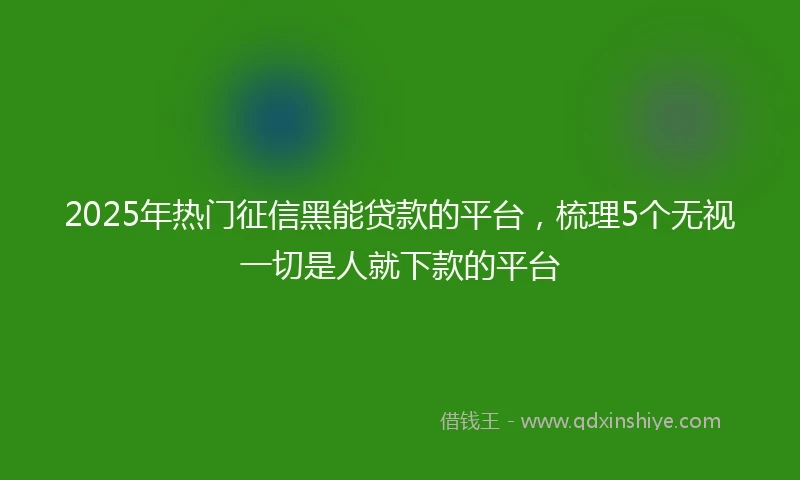 2025年热门征信黑能贷款的平台，梳理5个无视一切是人就下款的平台