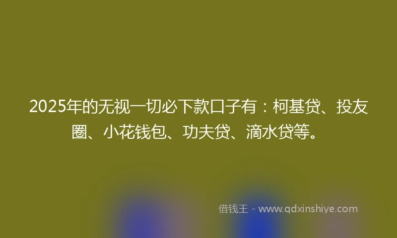 2025年的无视一切必下款口子有：柯基贷、投友圈、小花钱包、功夫贷、滴水贷等。