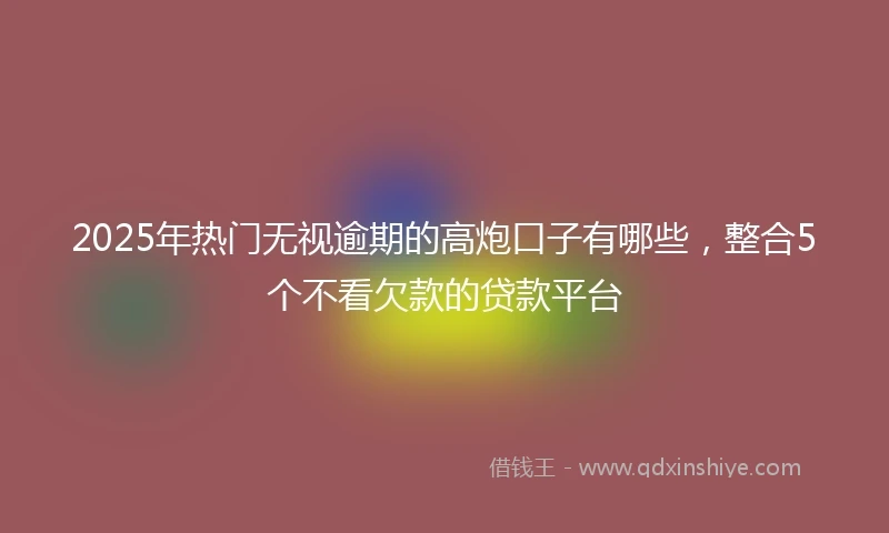 2025年热门无视逾期的高炮口子有哪些，整合5个不看欠款的贷款平台
