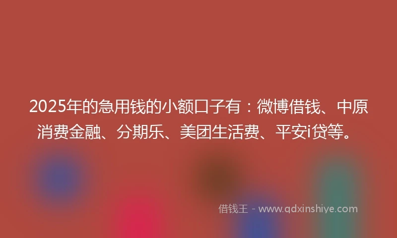 2025年的急用钱的小额口子有：微博借钱、中原消费金融、分期乐、美团生活费、平安i贷等。